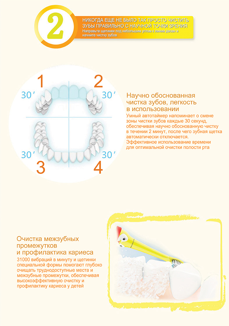 prooral T2113